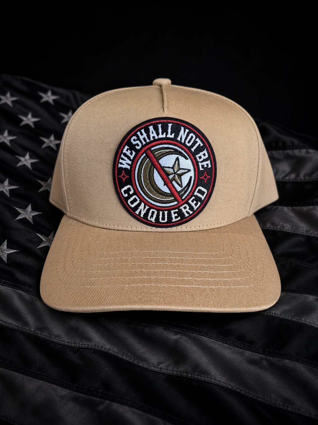 WE SHALL NOT BE CONQUERED sand storm-5 panel